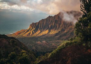 项目管理办公室（PMO）的5条规则